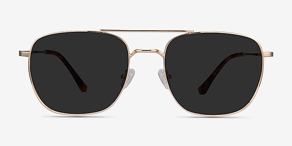 Seeker Golden Metal Sunglass Frames