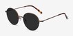 Sun Albee Bronze MetalSunglass Frames from EyeBuyDirect, Angle View