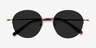 Sun Albee Bronze MetalSunglass Frames from EyeBuyDirect, Closed View