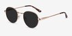Sun Belleville Gold MetalSunglass Frames from EyeBuyDirect, Angle View