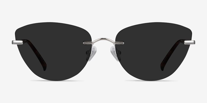 Linger Silver Metal Sunglass Frames from EyeBuyDirect