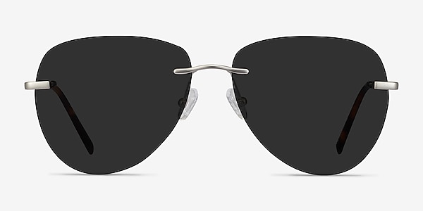 Martin Matte Silver Metal Sunglass Frames