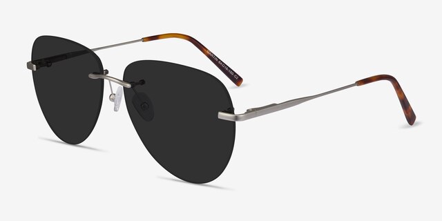 Martin Matte Silver MetalSunglass Frames from EyeBuyDirect, Angle View
