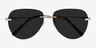 Martin Matte Silver MetalSunglass Frames from EyeBuyDirect, Closed View