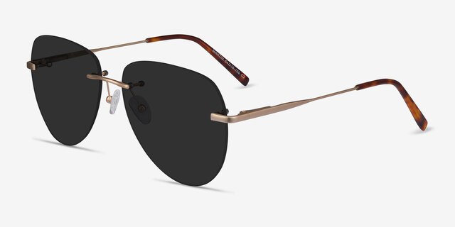 Martin Matte Gold MetalSunglass Frames from EyeBuyDirect, Angle View