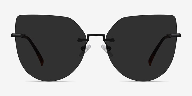Toyah Black MetalSunglass Frames from EyeBuyDirect, Front View