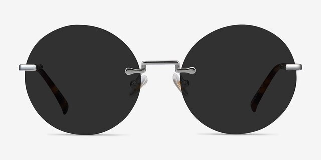 Wise Silver MetalSunglass Frames from EyeBuyDirect, Front View