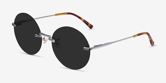 Wise Silver MetalSunglass Frames from EyeBuyDirect, Angle View