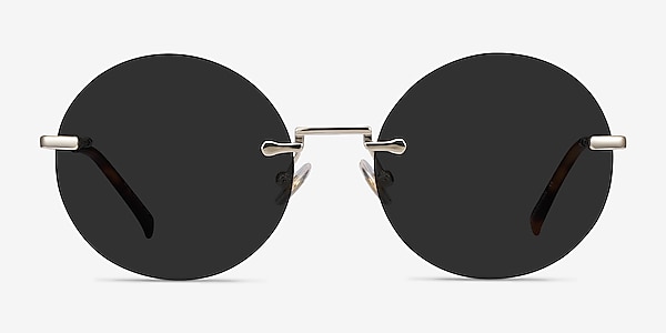 Wise Gold Metal Sunglass Frames