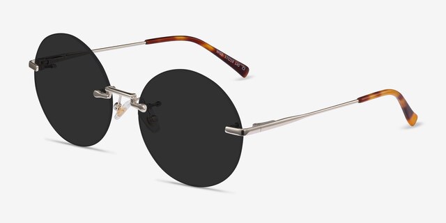 Wise Gold MetalSunglass Frames from EyeBuyDirect, Angle View