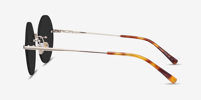 Wise Gold MetalSunglass Frames from EyeBuyDirect, Side View