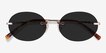 Daze Rose Gold MetalSunglass Frames from EyeBuyDirect, Closed View