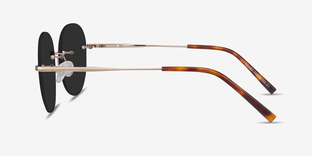Coast Gold MetalSunglass Frames from EyeBuyDirect, Side View