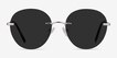 Coast Silver MetalSunglass Frames from EyeBuyDirect, Front View