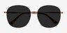 Ellis Bronze MetalSunglass Frames from EyeBuyDirect, Closed View
