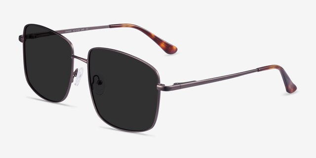 Ryker Coffee MetalSunglass Frames from EyeBuyDirect, Angle View
