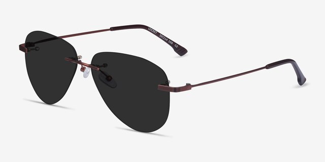 Locket Bronze MetalSunglass Frames from EyeBuyDirect, Angle View