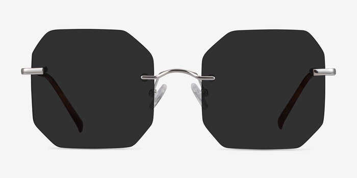 Elmira Silver Metal Sunglass Frames from EyeBuyDirect