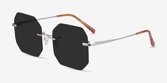 Elmira Silver MetalSunglass Frames from EyeBuyDirect, Angle View