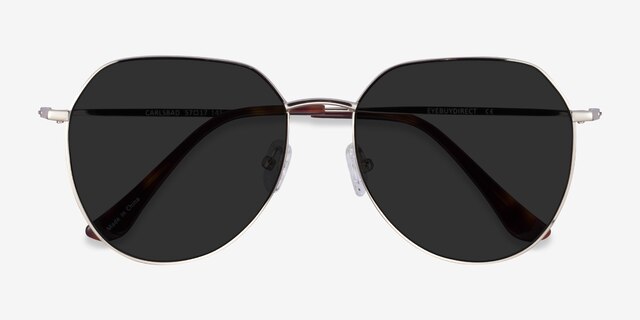 Carlsbad Silver MetalSunglass Frames from EyeBuyDirect, Closed View