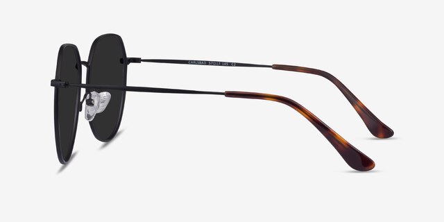 Carlsbad Black MetalSunglass Frames from EyeBuyDirect, Side View