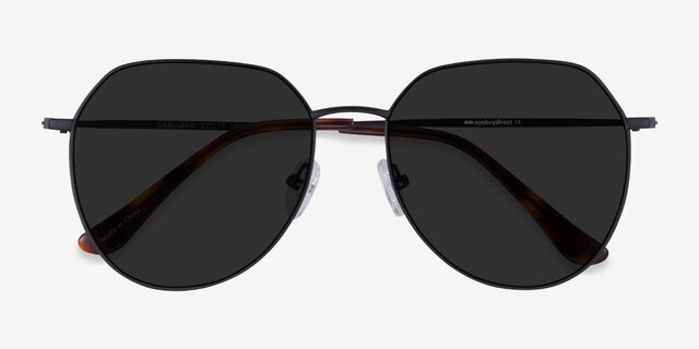 Carlsbad Black MetalSunglass Frames from EyeBuyDirect, Closed View