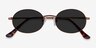 Culture Bronze MetalSunglass Frames from EyeBuyDirect, Closed View