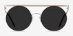 Lineal Silver MetalSunglass Frames from EyeBuyDirect, Front View