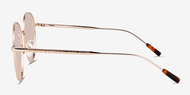 Olin Shiny Gold Tortoise MetalSunglass Frames from EyeBuyDirect, Side View