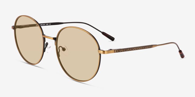 Olin Bronze MetalSunglass Frames from EyeBuyDirect, Angle View