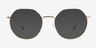 Steve Matte Gold MetalSunglass Frames from EyeBuyDirect, Front View