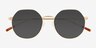 Steve Matte Gold MetalSunglass Frames from EyeBuyDirect, Closed View