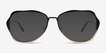 Teo Matte Black Brown MetalSunglass Frames from EyeBuyDirect, Front View
