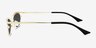 Barry Gold MetalSunglass Frames from EyeBuyDirect, Side View