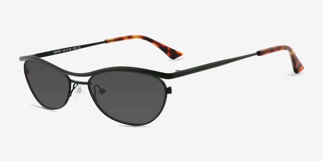 Barry Black MetalSunglass Frames from EyeBuyDirect, Angle View