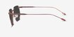 Gibson Brown MetalSunglass Frames from EyeBuyDirect, Side View