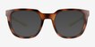 Force Brown Tortoise PlasticSunglass Frames from EyeBuyDirect, Front View