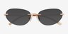 Drayton Rose Gold MetalSunglass Frames from EyeBuyDirect, Closed View