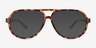 Steelman Tortoise Eco-friendlySunglass Frames from EyeBuyDirect, Front View