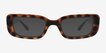Norrie Tortoise PlasticSunglass Frames from EyeBuyDirect, Front View
