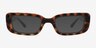 Norrie Tortoise PlasticSunglass Frames from EyeBuyDirect, Front View