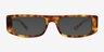 Evert Tortoise AcetateSunglass Frames from EyeBuyDirect, Front View