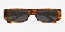 Evert Tortoise AcetateSunglass Frames from EyeBuyDirect, Closed View