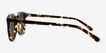 Safari Dark Tortoise AcetateSunglass Frames from EyeBuyDirect, Side View