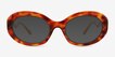 Tilde Tortoise PlasticSunglass Frames from EyeBuyDirect, Front View