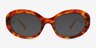 Tilde Tortoise PlasticSunglass Frames from EyeBuyDirect, Front View