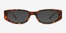Scott Tortoise AcetateSunglass Frames from EyeBuyDirect, Front View