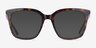 Blissful Écailles AcétateSoleil de Lunette de vue d'EyeBuyDirect, Vue de Face