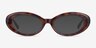 Zenith Tortoise AcetateSunglass Frames from EyeBuyDirect, Front View