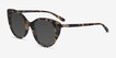 Anchor Tortoise AcetateSunglass Frames from EyeBuyDirect, Angle View
